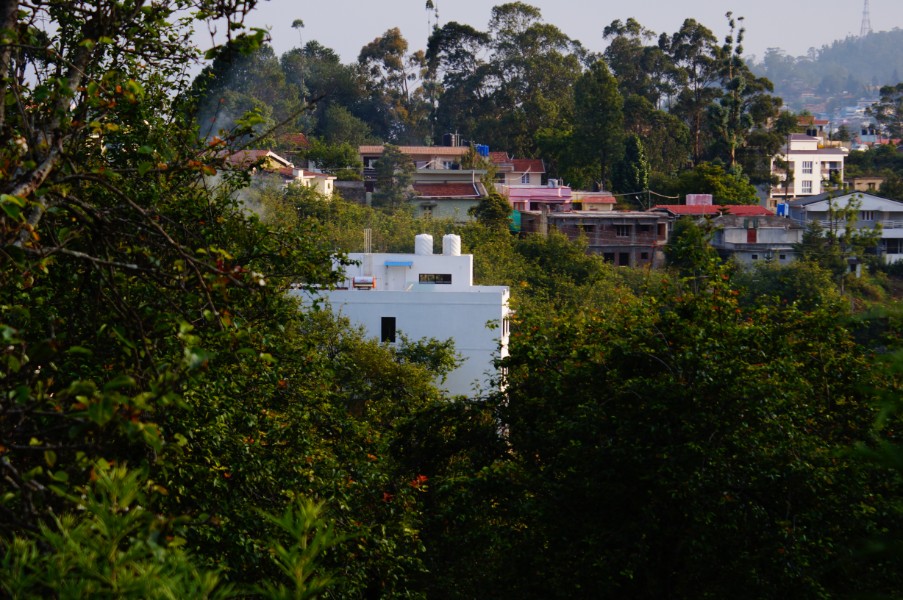Hotel Pearwoods, Kodaikanal