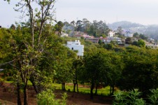 Hotel Pearwoods, Kodaikanal