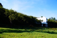Hotel Pearwoods, Kodaikanal